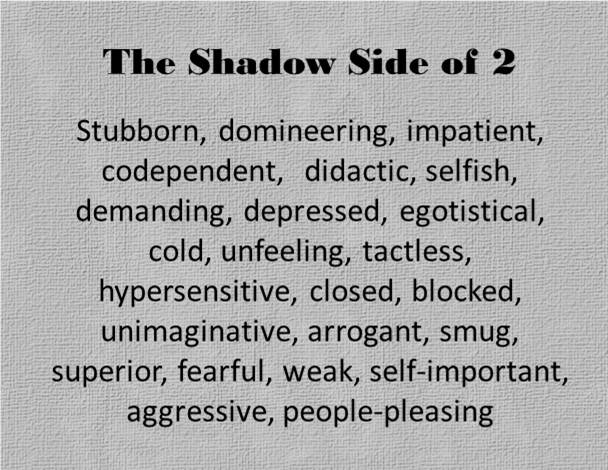 The Shadow Side of the 2