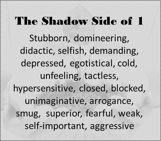 the shadow side of the 1