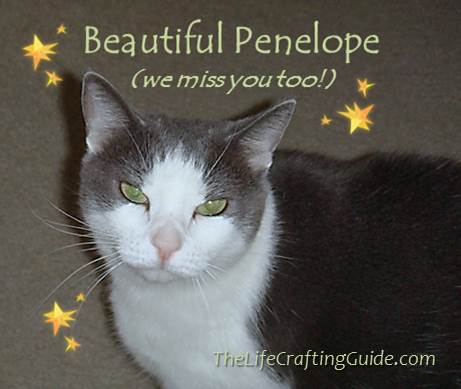 Penelope - cat